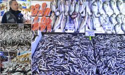 Soğuk havalar balık tezgahlarını canlandırdı