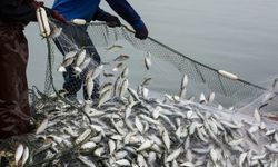 Su ürünleri avcılığında yeni dönem başlıyor