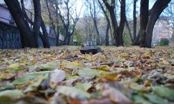 Ülke genelinde yağış beklenmiyor