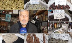 Aktar Yağmurcu: Şifalı bitkiler mevsimsel hastalıklara karşı bağışıklık sistemini güçlendirir