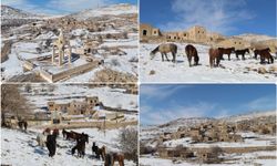 Beyaza bürünen tarihi Mağara Köyü fotoğrafçıların uğrak noktası oldu