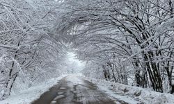 Birçok kentte kar, kuvvetli yağış ve rüzgâr bekleniyor