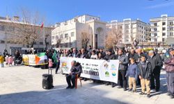 Dağ: Mescid-i Aksa ümmetin ortak sorumluluğudur