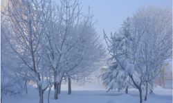 Doğu Anadolu ve Batı Karadeniz için kar uyarısı