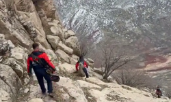 Keçilerini kurtarmak isterken kayalıklarda mahsur kaldı