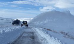 Malatya'da 6 ilçede eğitime kar engeli