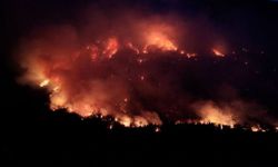 Patagonya'daki yangınlarda 12 bin hektarlık alan küle döndü