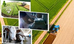 Tarımsal destek ödemeleri hesaplara yatıyor