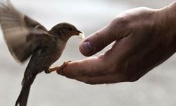 Uzmanlara göre iyiliğin gerçek gücü niyette saklı
