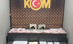 Ağrı merkezli tefecilik operasyonu: 19 gözaltı