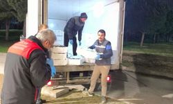 Bursa’da yaklaşık bir ton balığa el konuldu