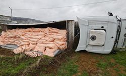 Gübre yüklü tır devrildi: 4 yaralı