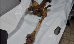 İşgal rejiminin Gazze’de yaptığı soykırımın kanıtları