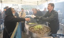 İstanbul'da hamsi festivali: 10 bin kişiye 5 ton hamsi ikram edildi