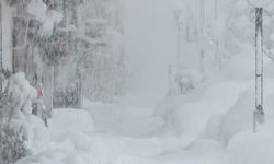 Japonya'da rekor kar yağışı sonrası ölü sayısı artıyor: 30 ölü, en az 290 yaralı 