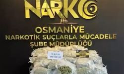 Osmaniye'de 36 kilogram skunk ele geçirildi: 2 tutuklama