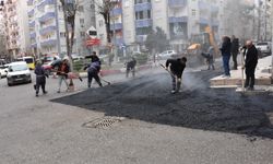 Siirt’te asfalt ve yol bakım çalışmaları aralıksız sürüyor