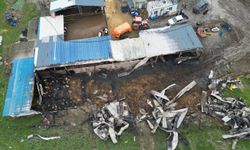 Tekirdağ’da çiftlik yangını: 60 küçükbaş telef oldu