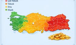 Türkiye’nin yastık altı altın haritası açıklandı