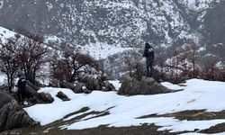 Yaban hayvanları için doğaya yem desteği