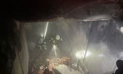 Siirt’te çıkan yangın söndürüldü