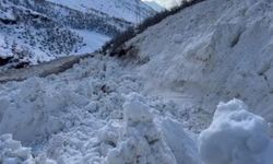 Şırnak-Hakkâri kara yoluna çığ düştü