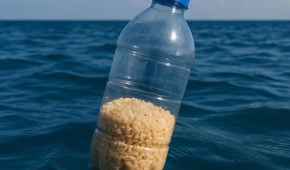 Açlığa terk edilen Gazze'yle sessiz dayanışma: Sizi unutmadık, özür dileriz, yanınızdayız