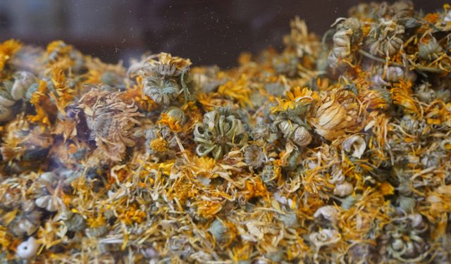 Üç kuşaktır nesilden nesile aktarılan şifa 