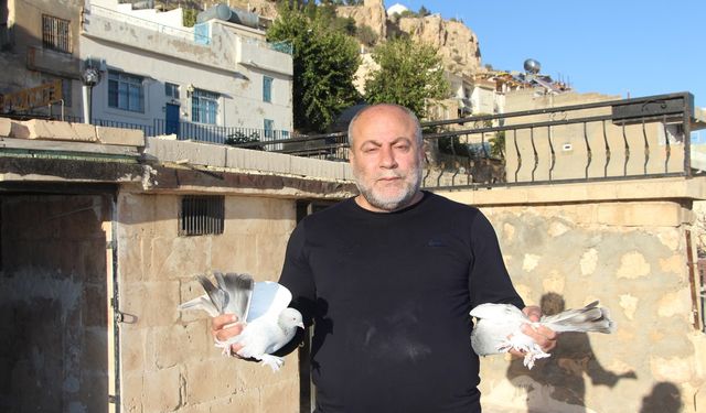 Kadim Kentin Kadim Mirası: Mardin güvercini