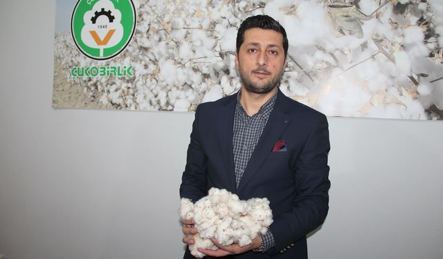 Çitçiler emeğinin karşılığını istiyor: Destek artarsa pamuk alanları büyüyecek