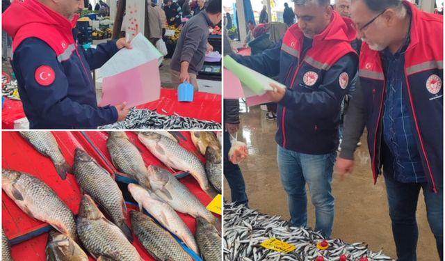 Konya da su ürünleri denetimleri, av yasağının kalkmasıyla başladı