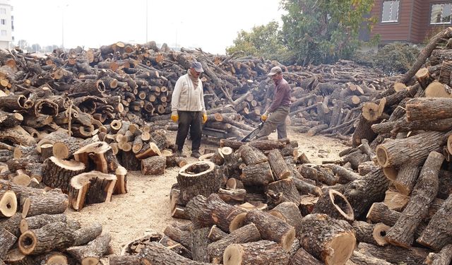 Yağışsız hava odun satıcılarını vurdu
