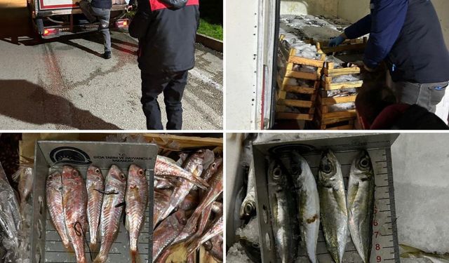Bursa balık halinde denetim: 141 kg balığa el konuldu