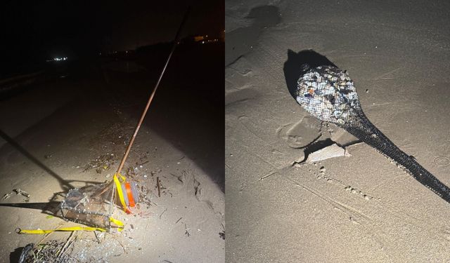 Ordu’da kum şırlanı avcılığı yapanlara ceza uygulandı