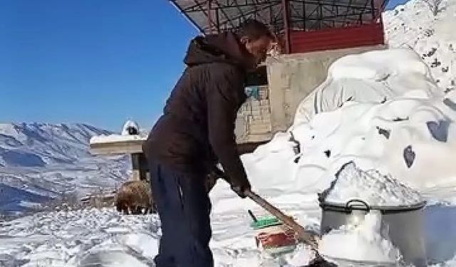 Siirt’te köylüler hayvanlarına eritilmiş kar suyu içiriyor