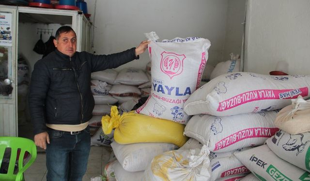 Artan yem ve girdi maliyetleri hububat ticaretini durgunluğa sürükledi