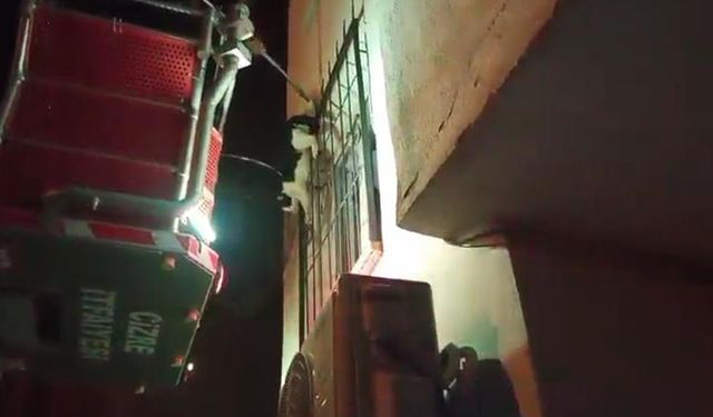 Cizre’de ayağı demir korkuluklara sıkışan kedi için itfaiye seferber oldu