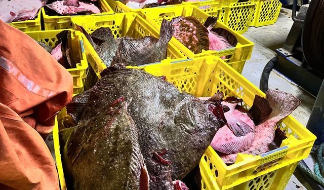 İstanbul'da yasak avlanan tekneye ceza