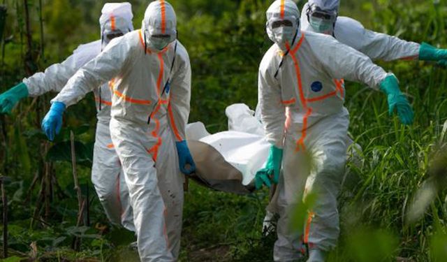 Nijerya’da Lassa ateşi kaynaklı can kaybı 17’ye yükseldi