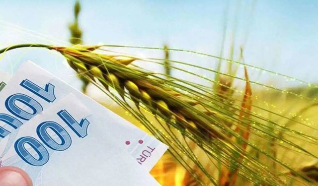 Tarımsal destek ödemeleri bugün çiftçilerin hesaplarına yatırılacak