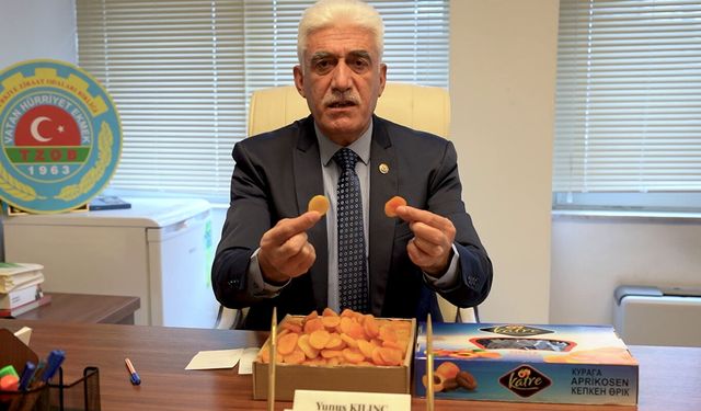 TZOB Yönetim Kurulu Üyesi Kılınç: Kaçak yollarla Türkiye'ye sokulan kayısılar Malatya üreticisini bitiriyor