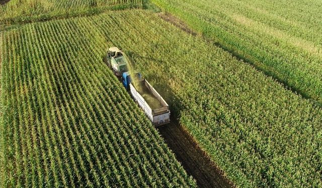 2025 Organize Tarım Bölgeleri istatistik bülteni yayımlandı