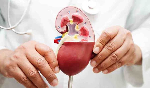 Böbrek hastalıkları her 7 kişiden birini tehdit ediyor