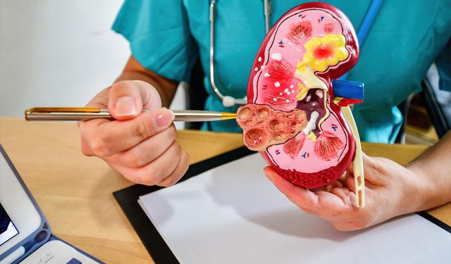 Kadınlar, yaşlılar ve hamileler için uyarı: İdrar yolu enfeksiyonu sessiz ilerleyebiliyor