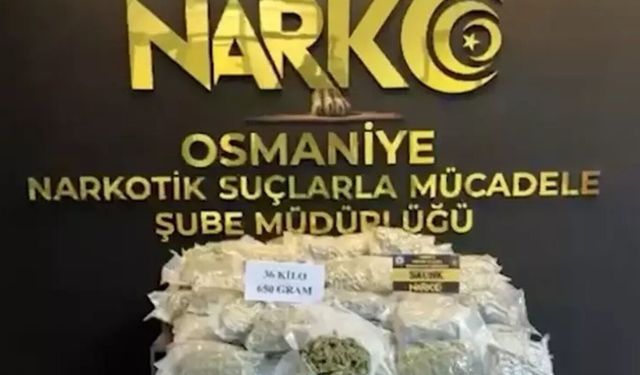 Osmaniye'de 36 kilogram skunk ele geçirildi: 2 tutuklama