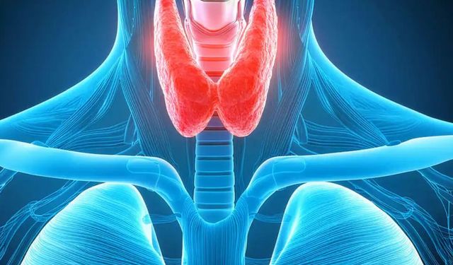 Uzm. Dr. Kaplan: Tiroid hastalıklarında erken tanı hayati önem taşıyor