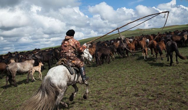 Kazakistan'da at eti tüketimi rekor seviyeye ulaştı