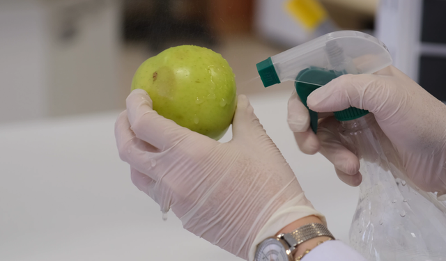 Meyvelerin raf ömrü doğal yağlarla uzatılıyor