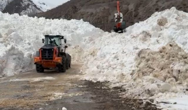 Şırnak'ta kar temizleme çalışmaları devam ediyor