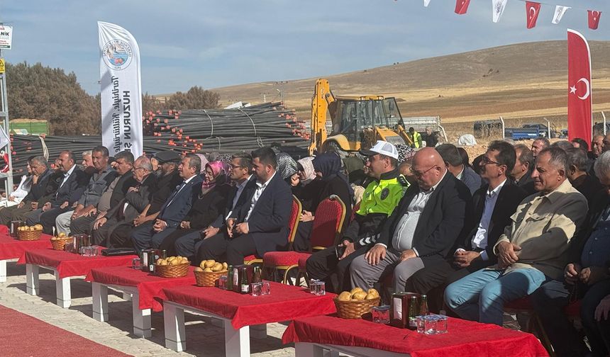 Malatya'da patates hasadı şenliği düzenlendi